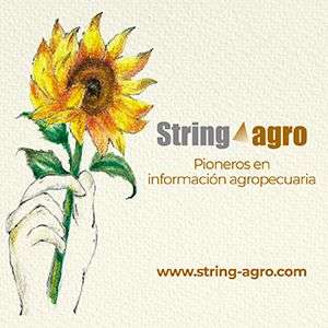 Publicidad: Agencia String agro - Pioneros en información agropecuaria