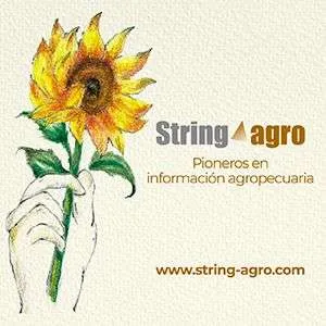 Publicidad: Agencia String agro - Pioneros en información agropecuaria