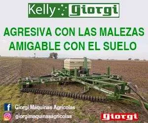 Publicidad: Giorgi - Rastra