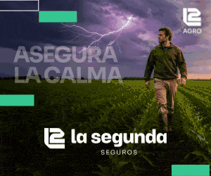 Publicidad: La Segunda - Asegura La Calma